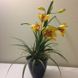 I'm back! 11/16/18 :)